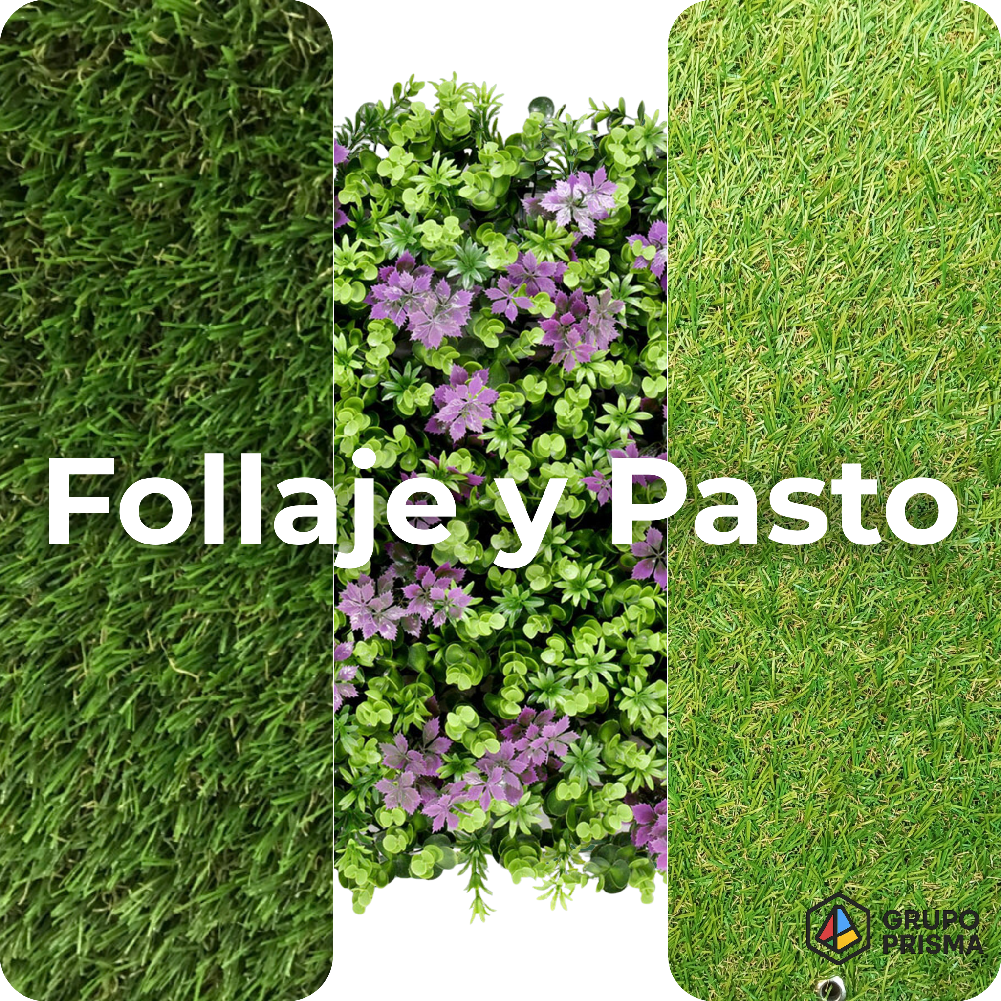 Follajes y Pasto