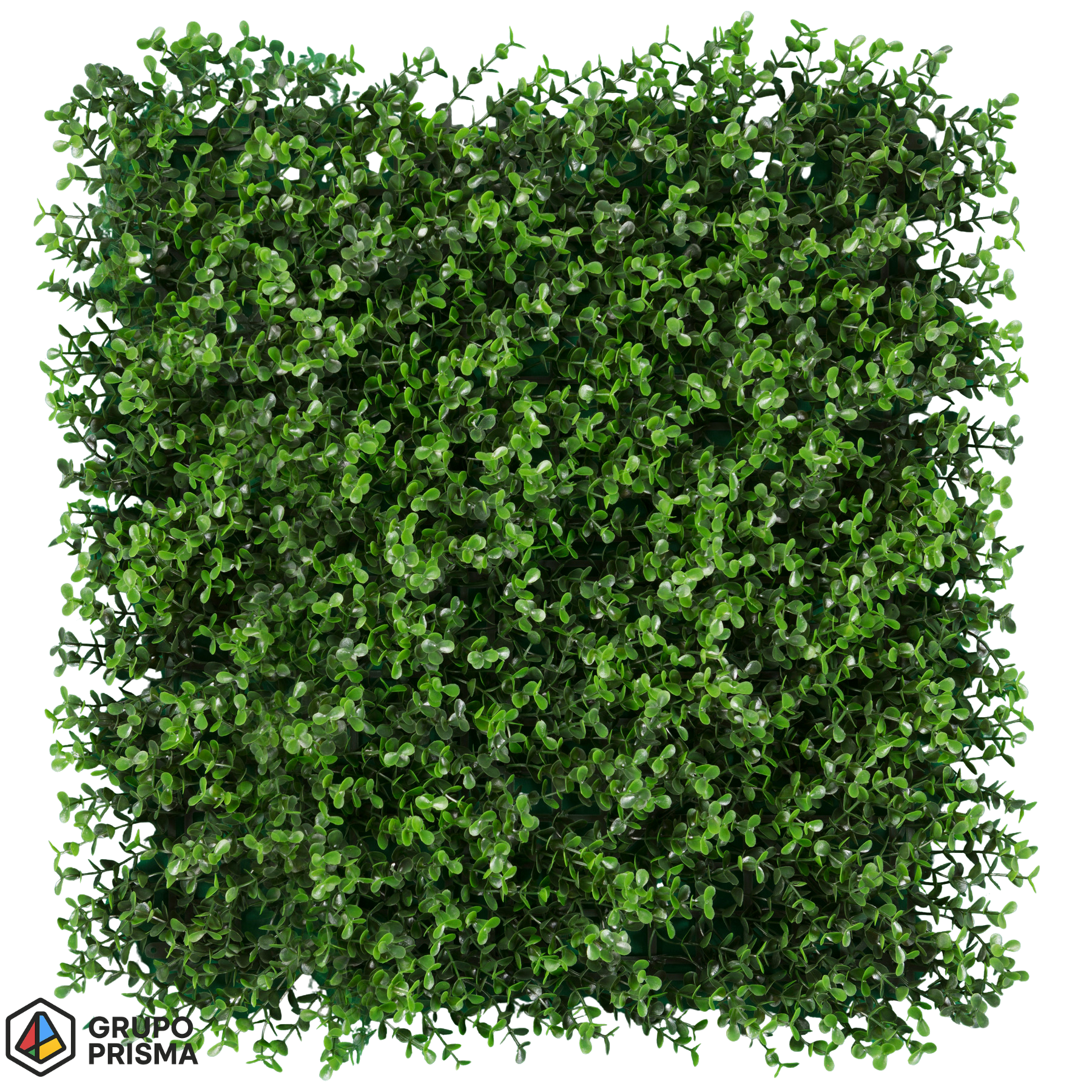 Arrayan. Follaje artificial premium.