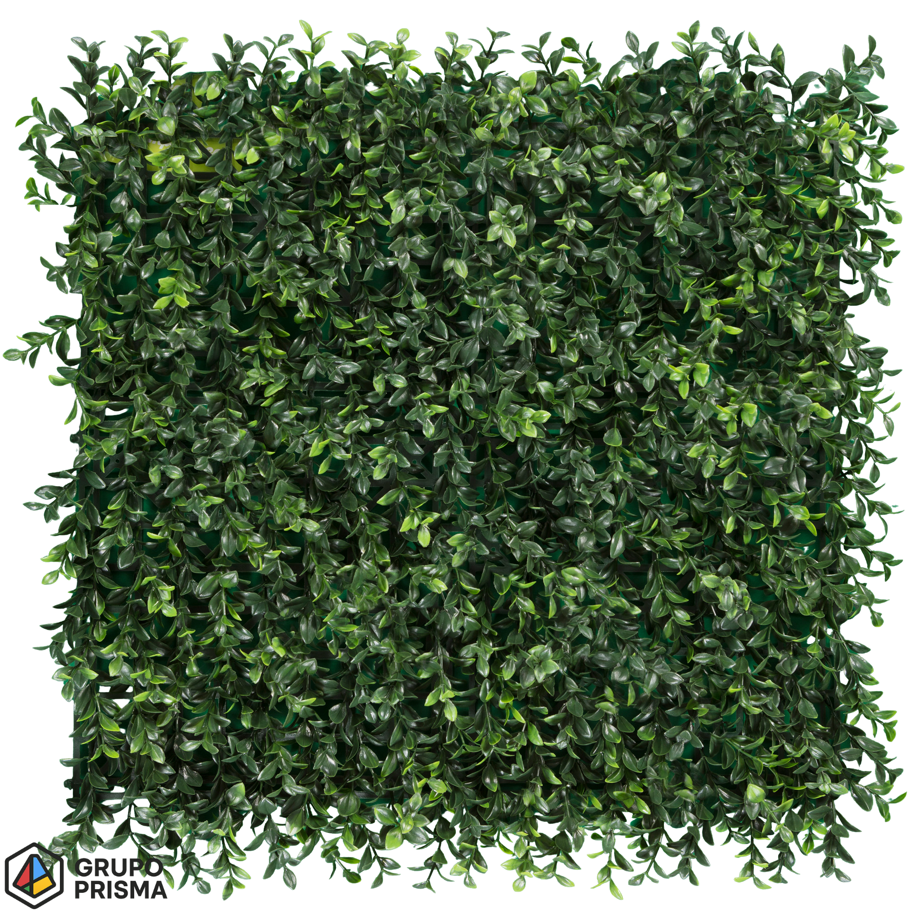 Boxwood. Follaje artificial premium.