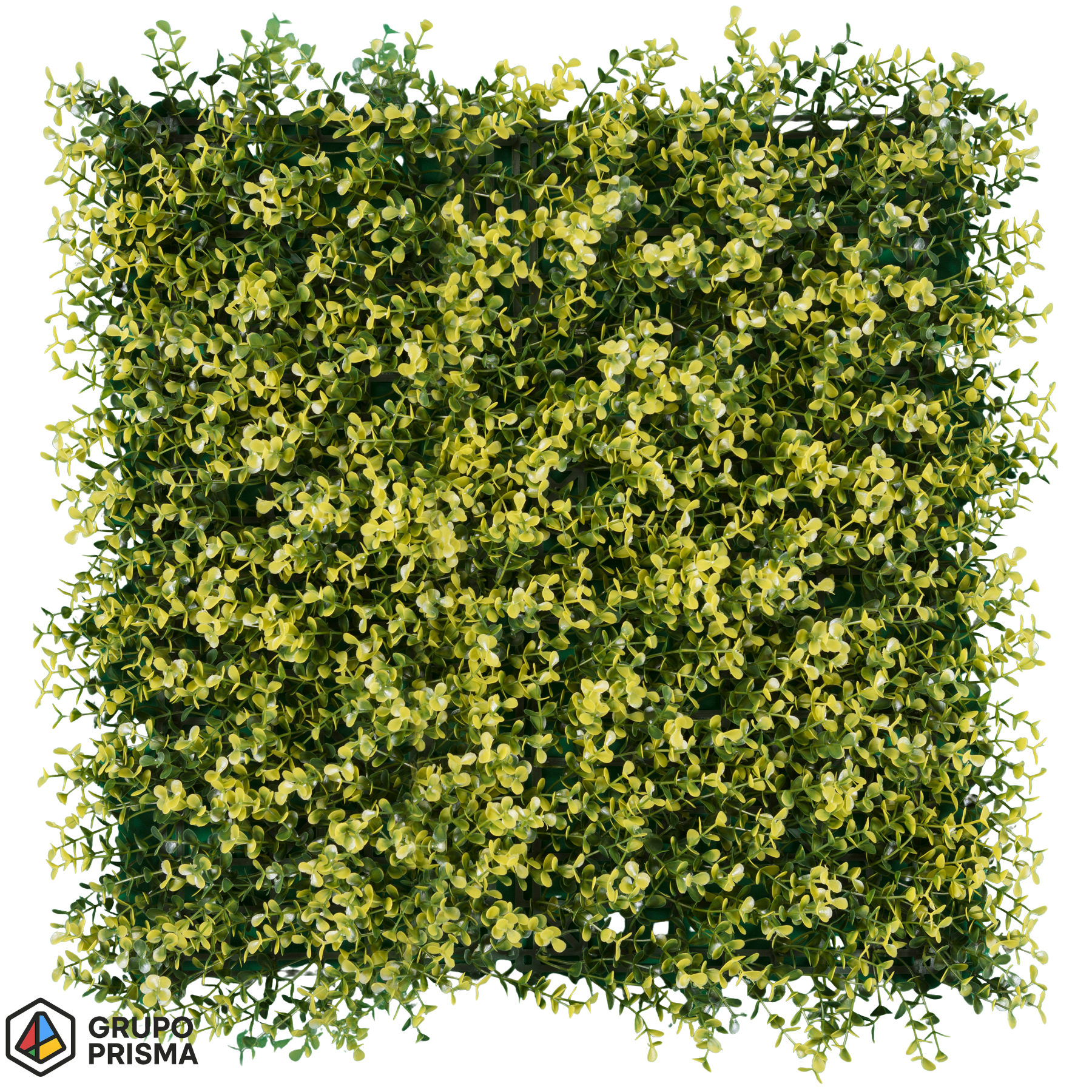 Arrayan. Follaje artificial premium.