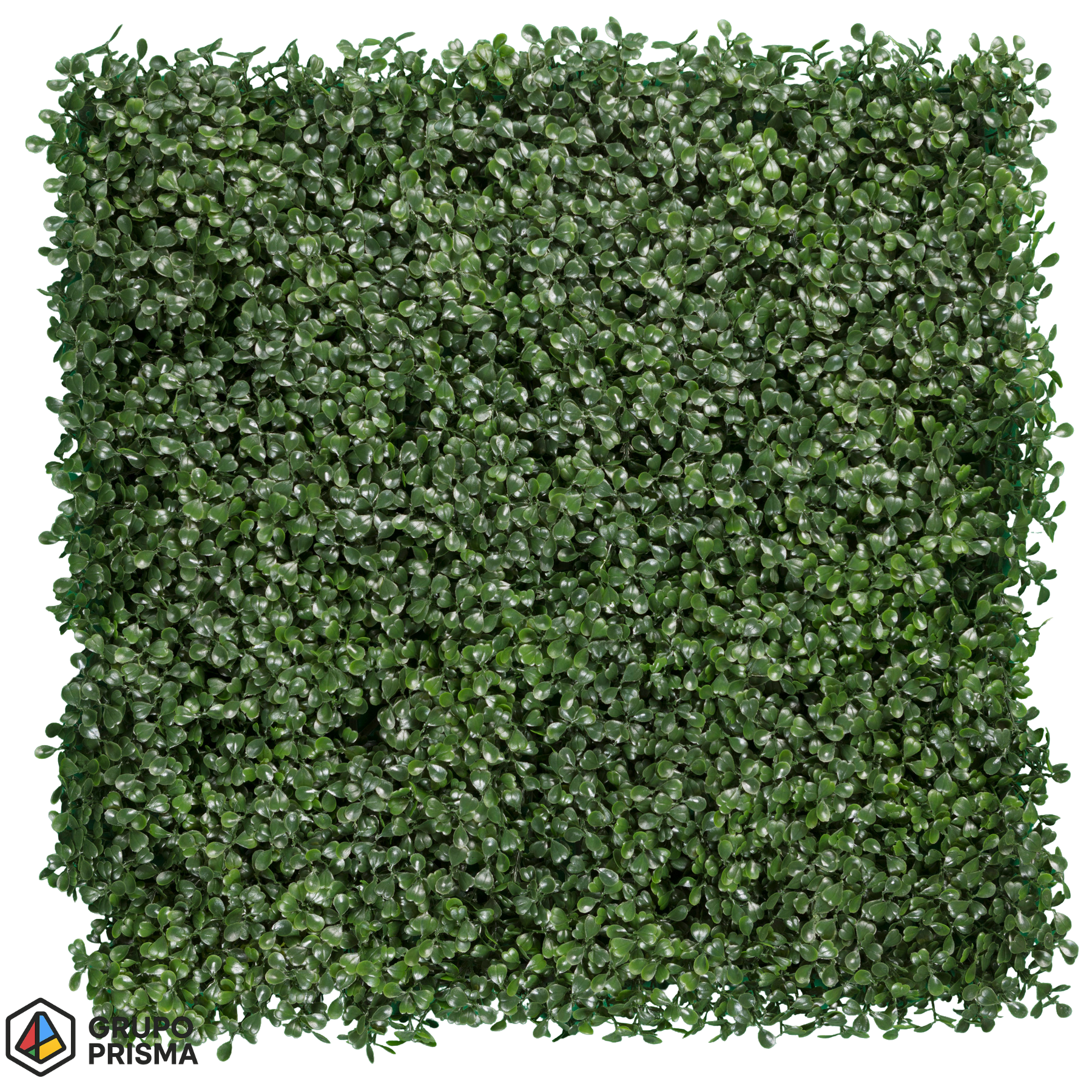 Arrayan. Follaje artificial premium.