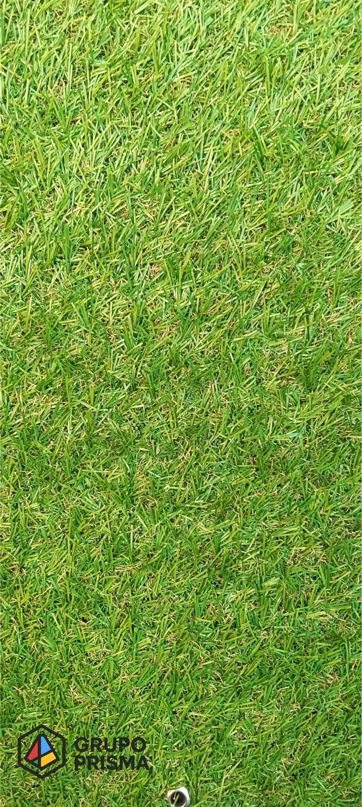 Summer. Pasto Sintético Premium.